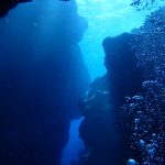 沖縄の離島の宮古島へ行ってました