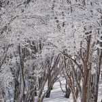 奈良県三峰山