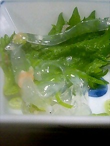 ●心と体とお笑いｂｙ大阪のヒーラー整体師-090313_2056~0001.jpg