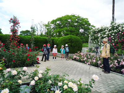 長居公園にバラ見に行ったよ♪